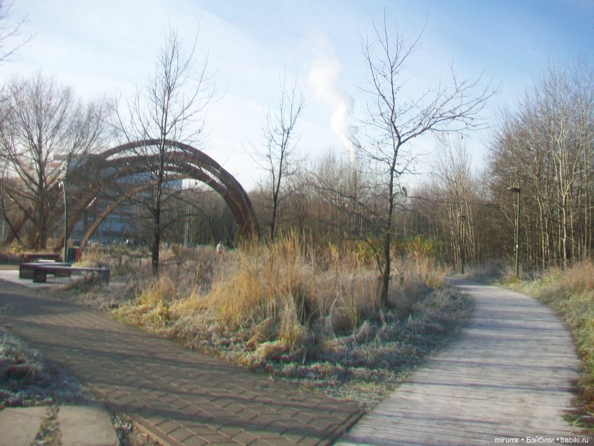 Наш парк в ноябре — Игровые куклы разных производителей (Разное): редкие бренды