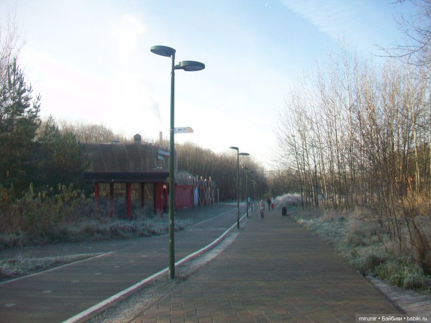 Наш парк в ноябре — Игровые куклы разных производителей (Разное): редкие бренды (фото 4)