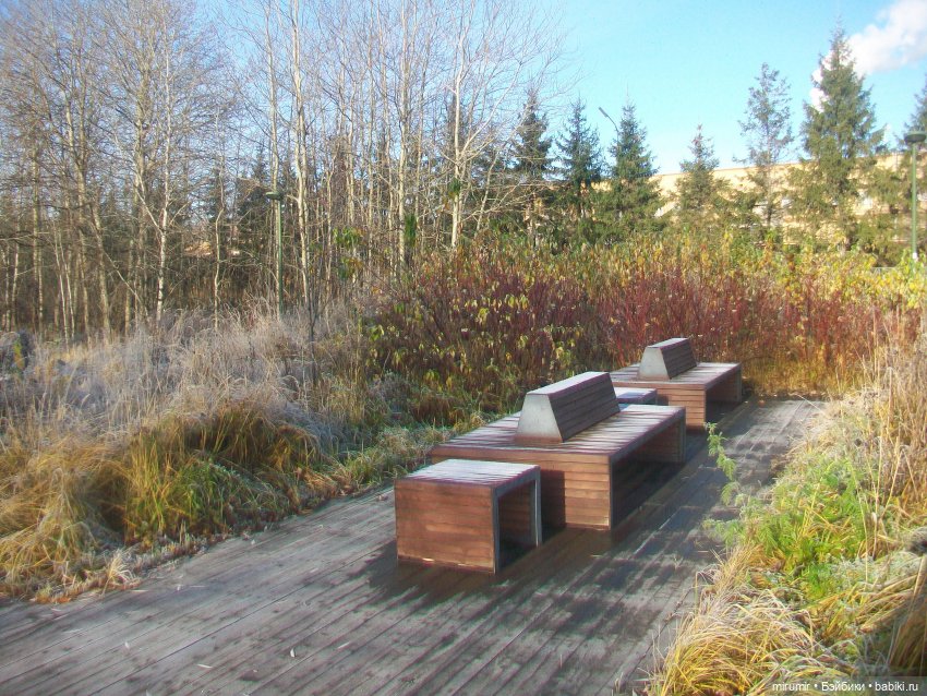 Наш парк в ноябре — Игровые куклы разных производителей (Разное): редкие бренды (фото 2)