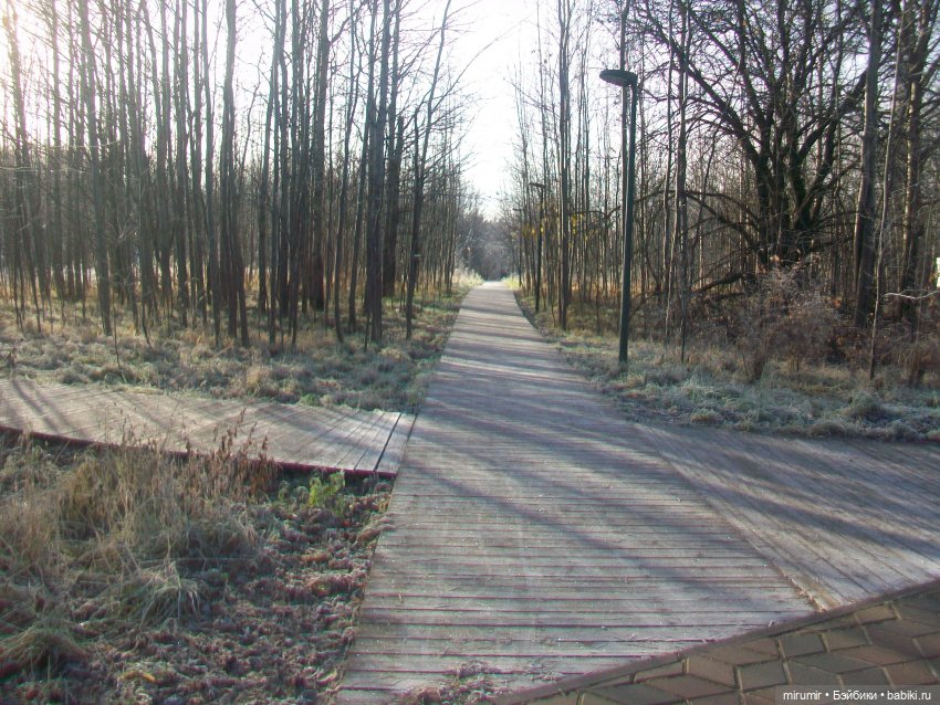 Наш парк в ноябре — Игровые куклы разных производителей (Разное): редкие бренды (фото 7)