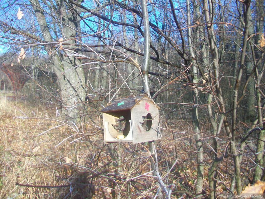 Наш парк в ноябре — Игровые куклы разных производителей (Разное): редкие бренды