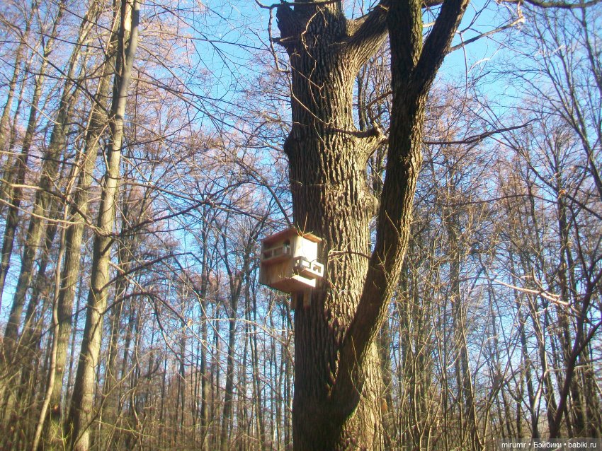 Наш парк в ноябре — Игровые куклы разных производителей (Разное): редкие бренды
