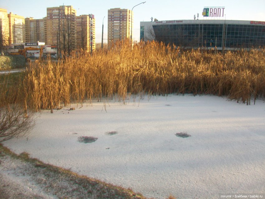 Наше озеро в декабре — Игровые куклы разных производителей (Разное): редкие бренды (фото 6)