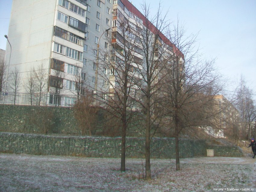 Наше озеро в декабре — Игровые куклы разных производителей (Разное): редкие бренды