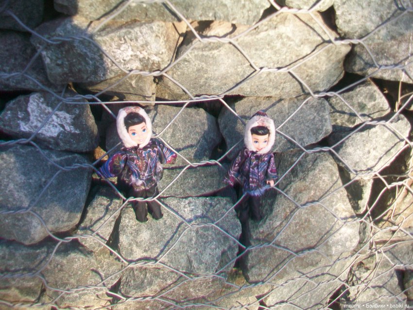 Наше озеро в декабре — Игровые куклы разных производителей (Разное): редкие бренды (фото 10)