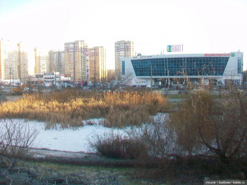 Наше озеро в декабре — Игровые куклы разных производителей (Разное): редкие бренды