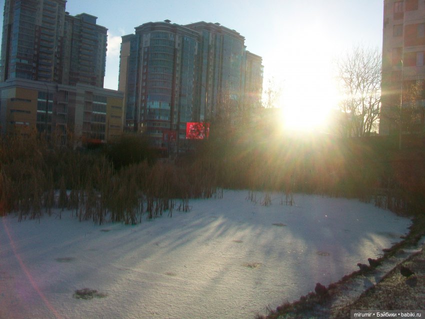 Наше озеро в декабре — Игровые куклы разных производителей (Разное): редкие бренды (фото 5)