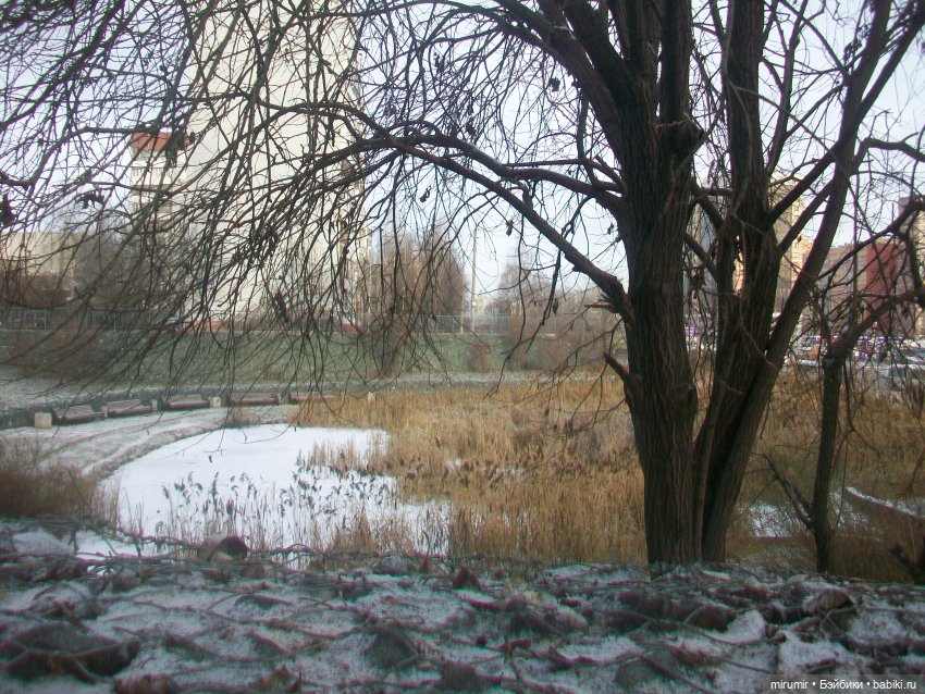 Наше озеро в декабре — Игровые куклы разных производителей (Разное): редкие бренды