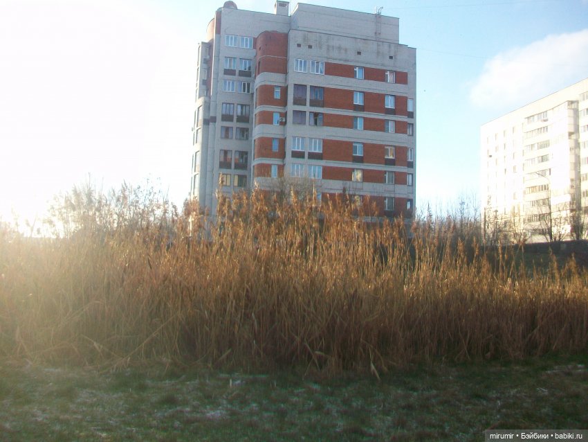 Наше озеро в декабре — Игровые куклы разных производителей (Разное): редкие бренды