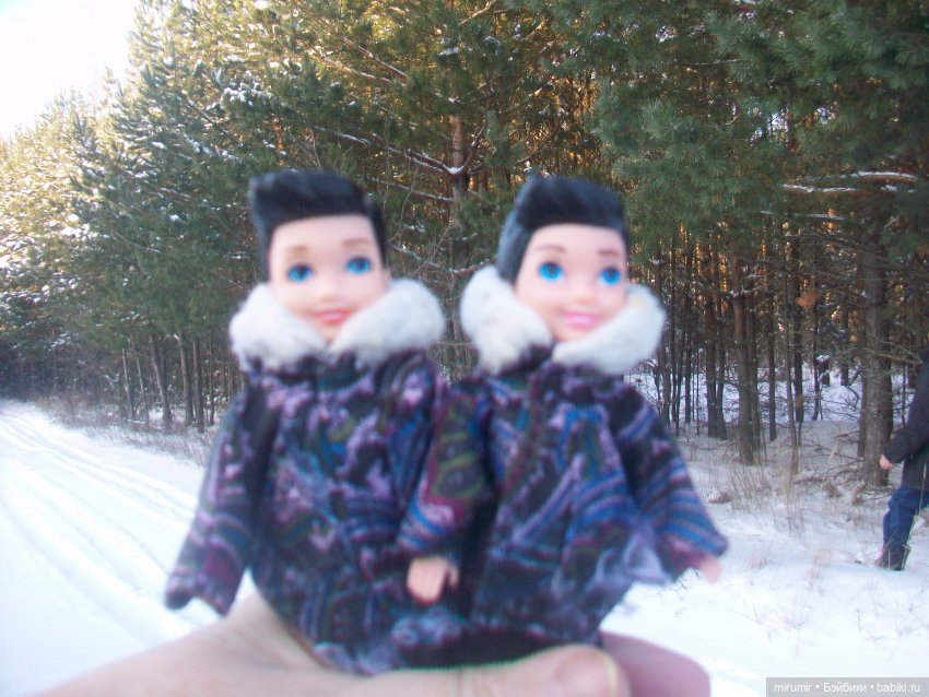 Декабрьская поездка на дачу (фото 3)