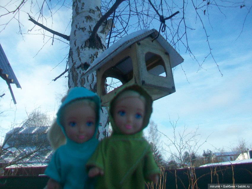 Декабрьская поездка на дачу