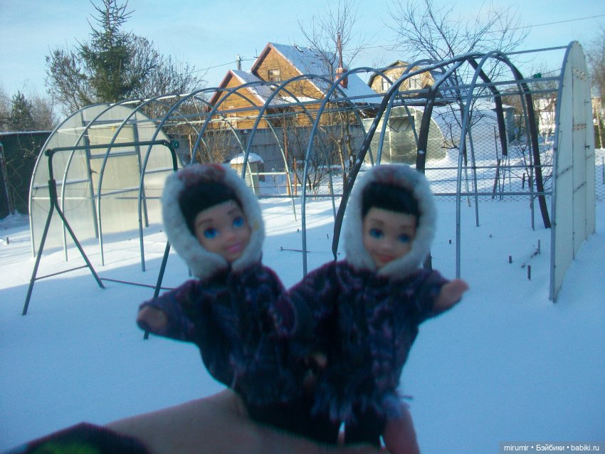 Декабрьская поездка на дачу (фото 8)