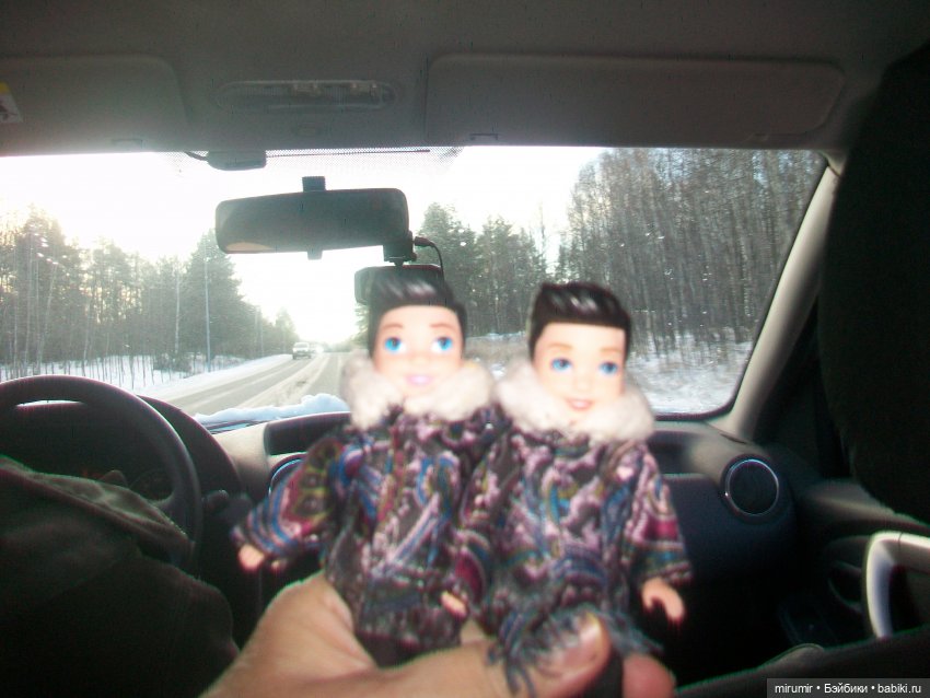 Декабрьская поездка на дачу