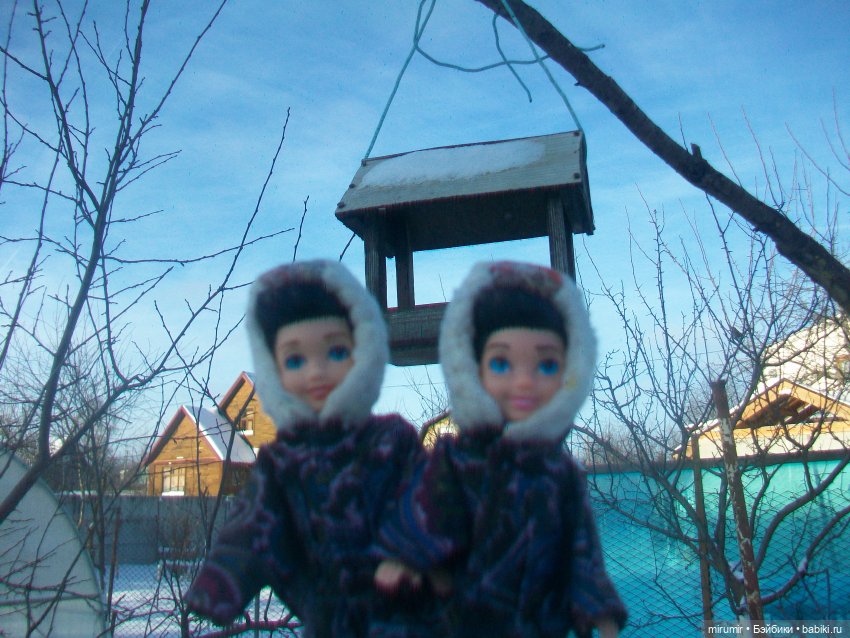 Декабрьская поездка на дачу (фото 9)