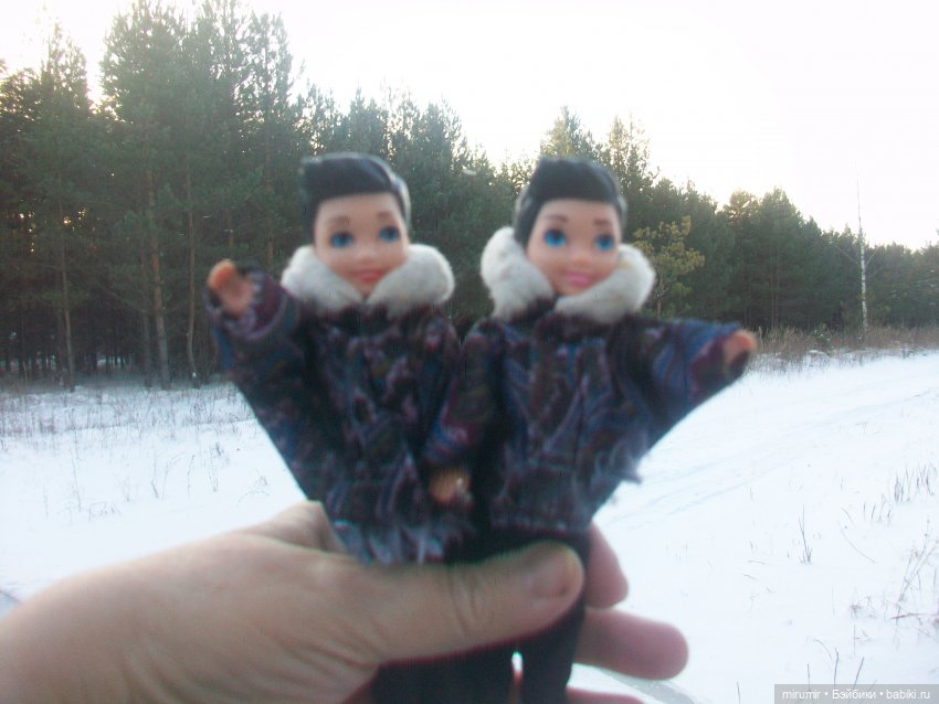 Декабрьская поездка на дачу (фото 4)