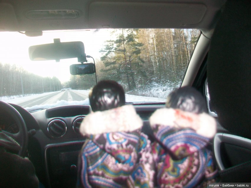 Декабрьская поездка на дачу (фото 2)