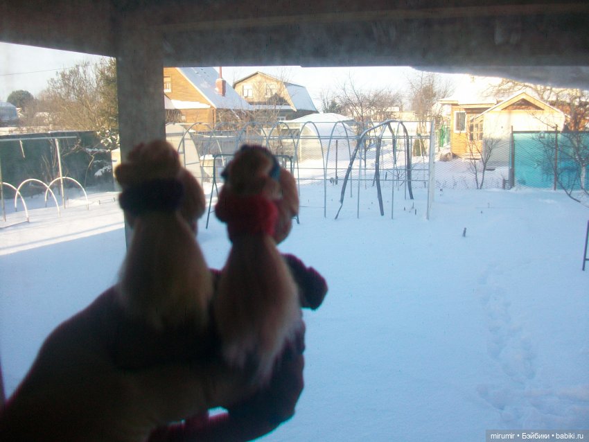 Декабрьская поездка на дачу (фото 6)