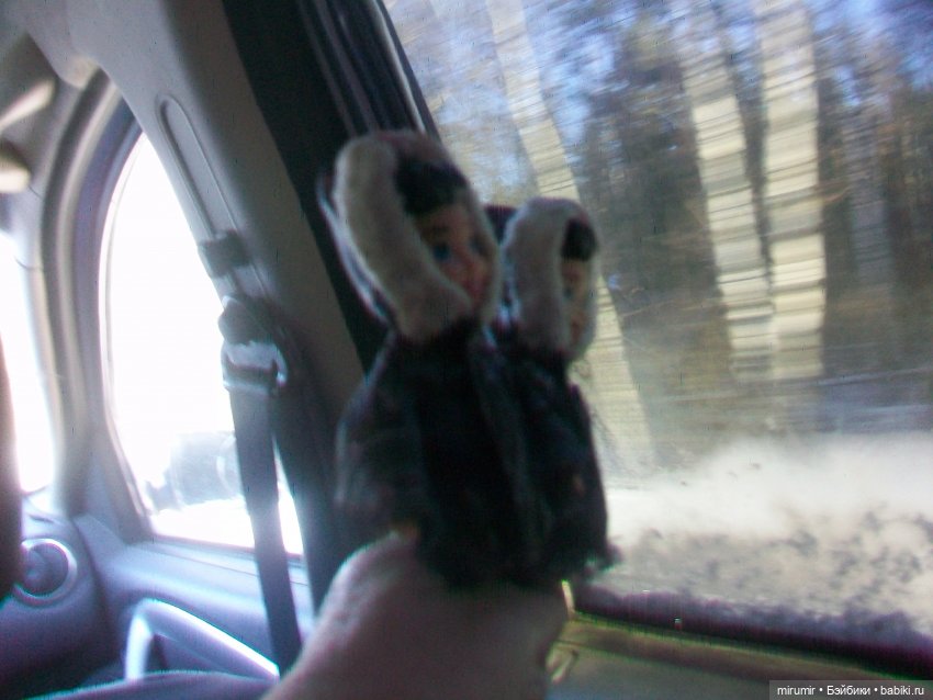 Декабрьская поездка на дачу