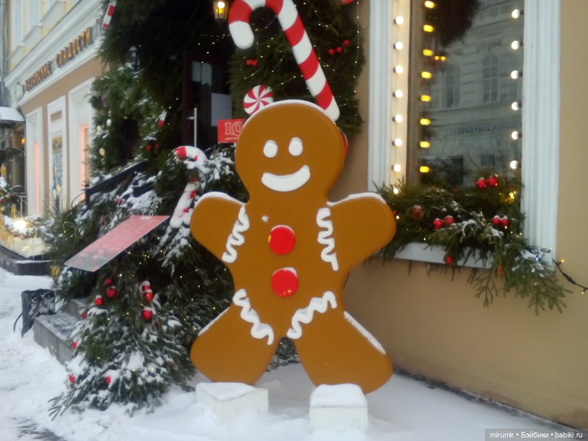 Предновогодняя поездка в центр города