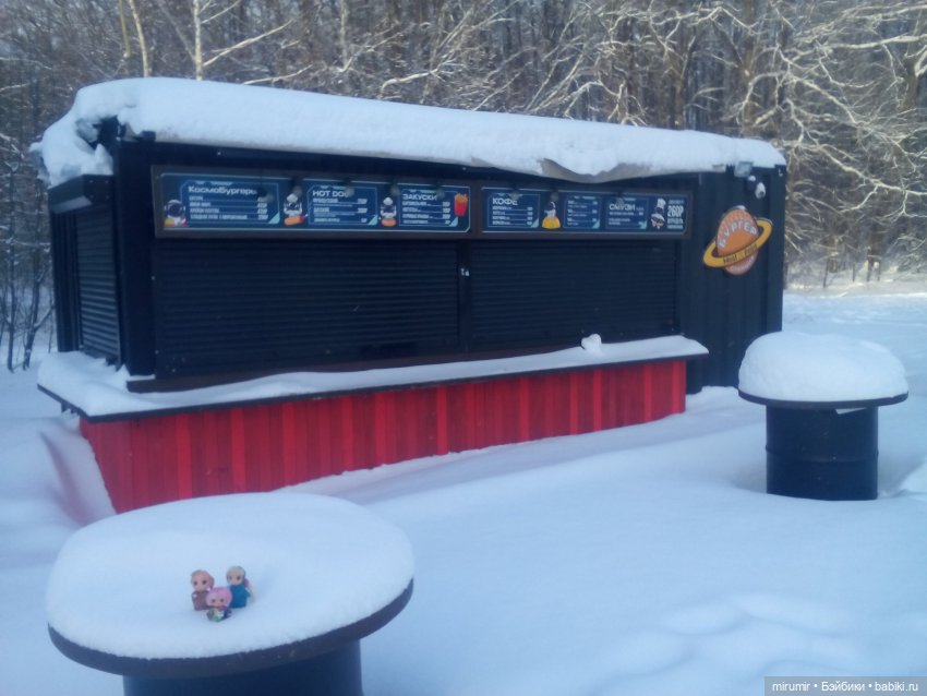 Январские прогулки — Игровые куклы разных производителей (Разное): редкие бренды