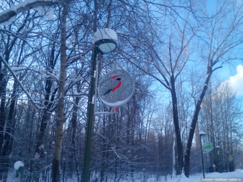 Январские прогулки — Игровые куклы разных производителей (Разное): редкие бренды