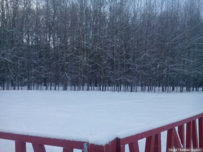 Январские прогулки — Игровые куклы разных производителей (Разное): редкие бренды