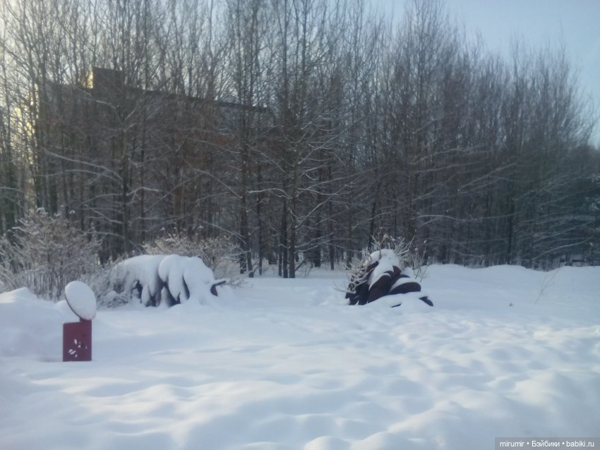 Январские прогулки — Игровые куклы разных производителей (Разное): редкие бренды