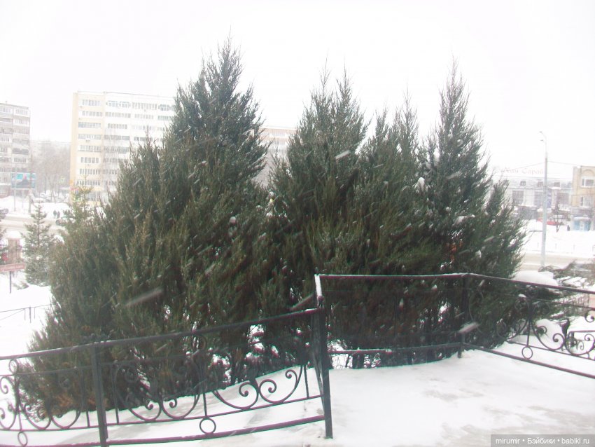 Январские прогулки — Игровые куклы разных производителей (Разное): редкие бренды (фото 10)