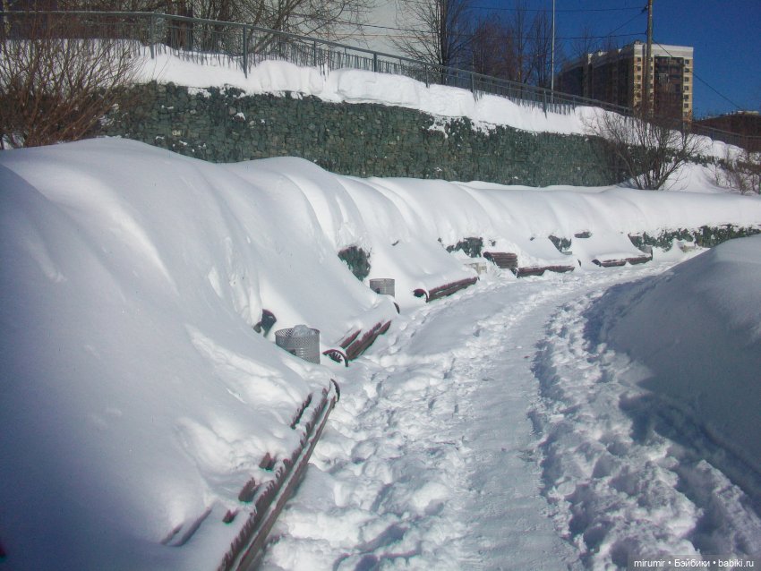 Наше озеро в феврале — Игровые куклы разных производителей (Разное): редкие бренды (фото 6)