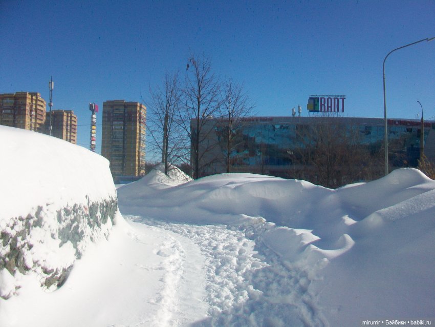Наше озеро в феврале — Игровые куклы разных производителей (Разное): редкие бренды