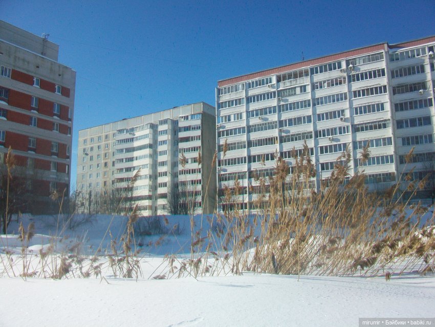 Наше озеро в феврале — Игровые куклы разных производителей (Разное): редкие бренды