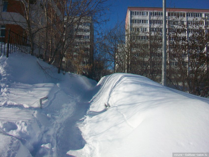 Наше озеро в феврале — Игровые куклы разных производителей (Разное): редкие бренды