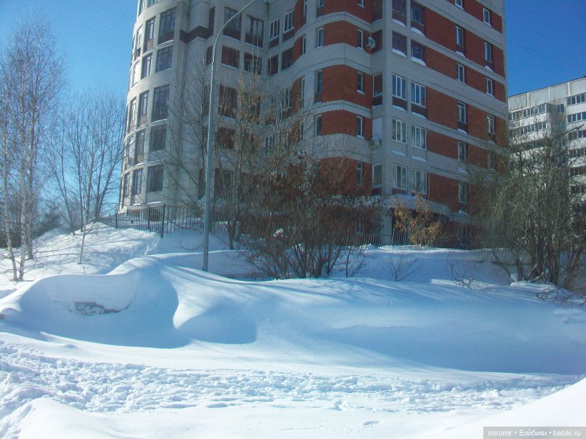 Наше озеро в феврале — Игровые куклы разных производителей (Разное): редкие бренды