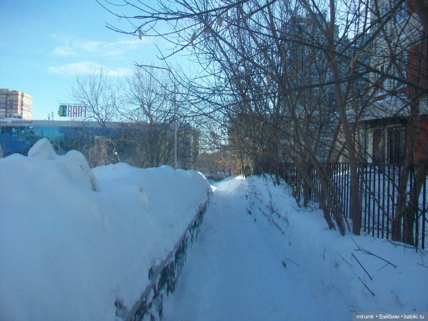 Наше озеро в феврале — Игровые куклы разных производителей (Разное): редкие бренды (фото 3)