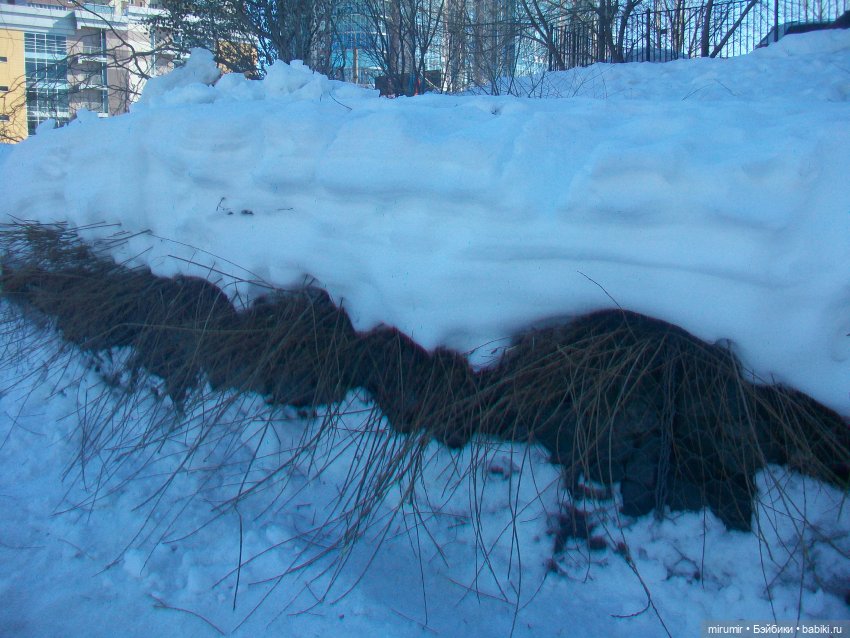 Наше озеро в марте — Игровые куклы разных производителей (Разное): редкие бренды