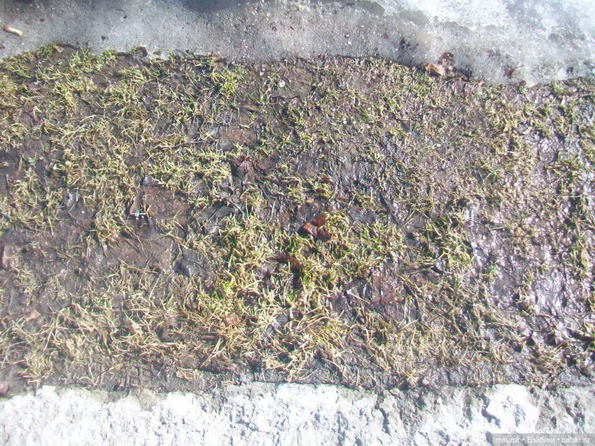 Наше озеро в марте — Игровые куклы разных производителей (Разное): редкие бренды