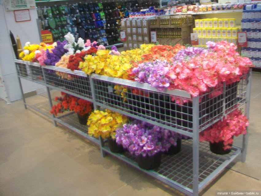 Как мы ходили в Ашан — Игровые куклы разных производителей (Разное): редкие бренды (фото 4)