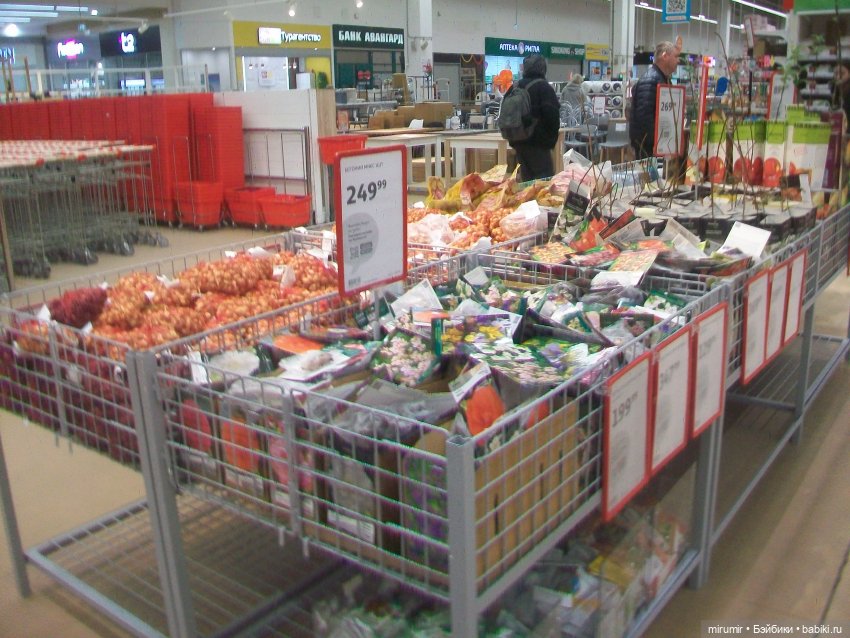 Как мы ходили в Ашан — Игровые куклы разных производителей (Разное): редкие бренды (фото 2)