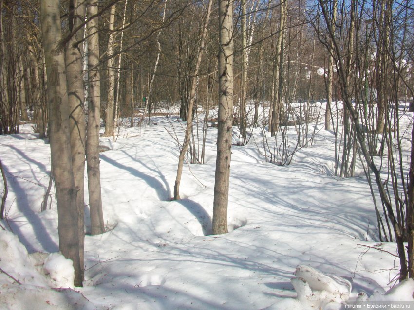 Наш парк в марте — Игровые куклы разных производителей (Разное): редкие бренды