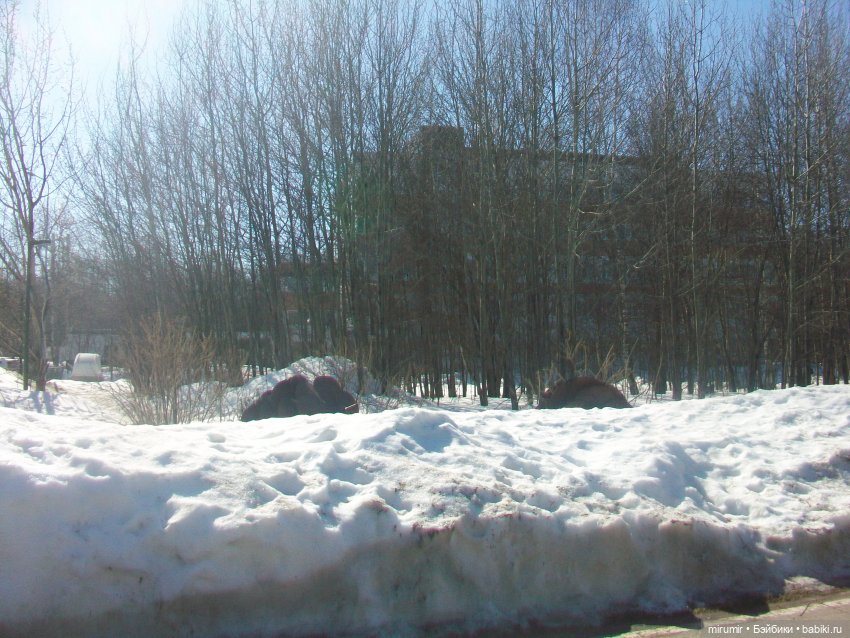 Наш парк в марте — Игровые куклы разных производителей (Разное): редкие бренды (фото 7)