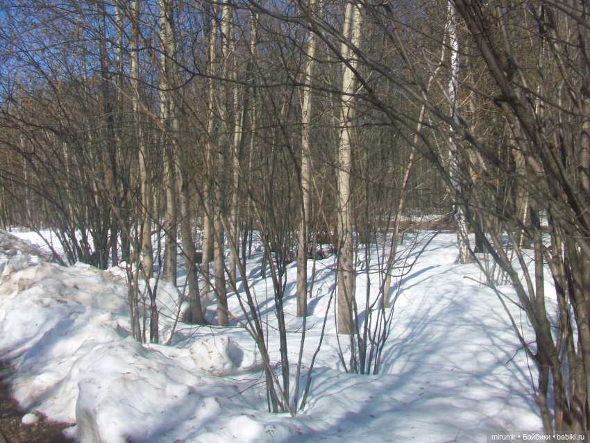 Наш парк в марте — Игровые куклы разных производителей (Разное): редкие бренды