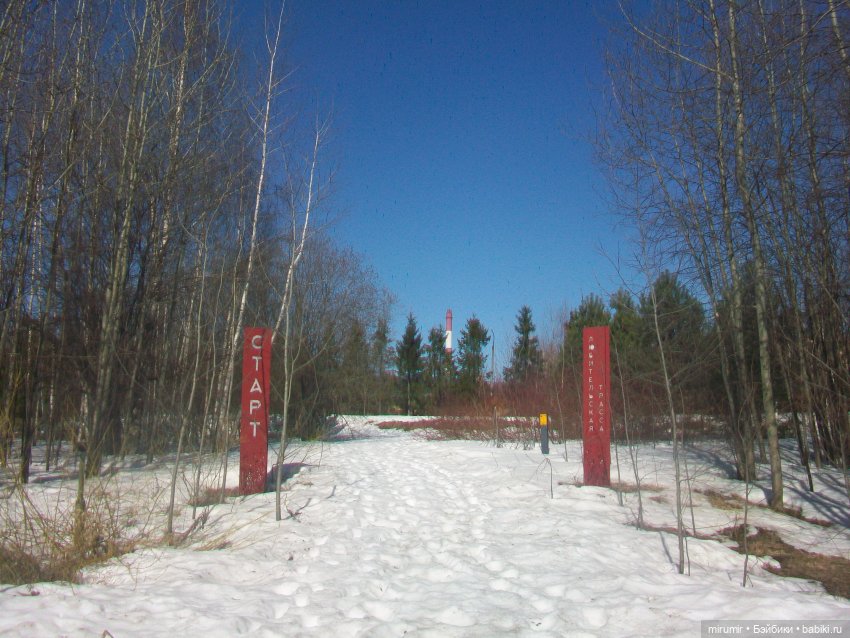 Наш парк в марте — Игровые куклы разных производителей (Разное): редкие бренды