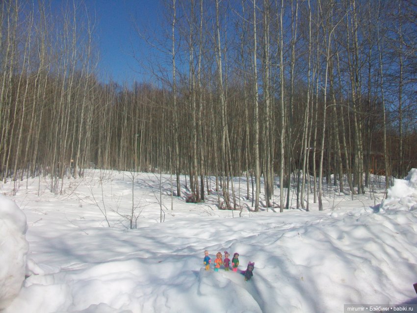 Наш парк в марте — Игровые куклы разных производителей (Разное): редкие бренды