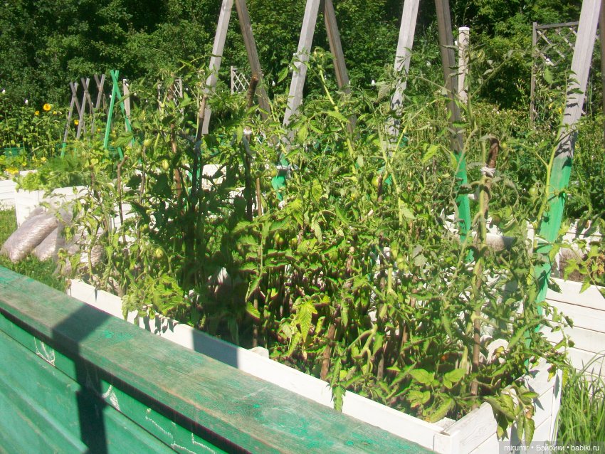 Наш парк в августе — Прочие игровые куклы для девочек