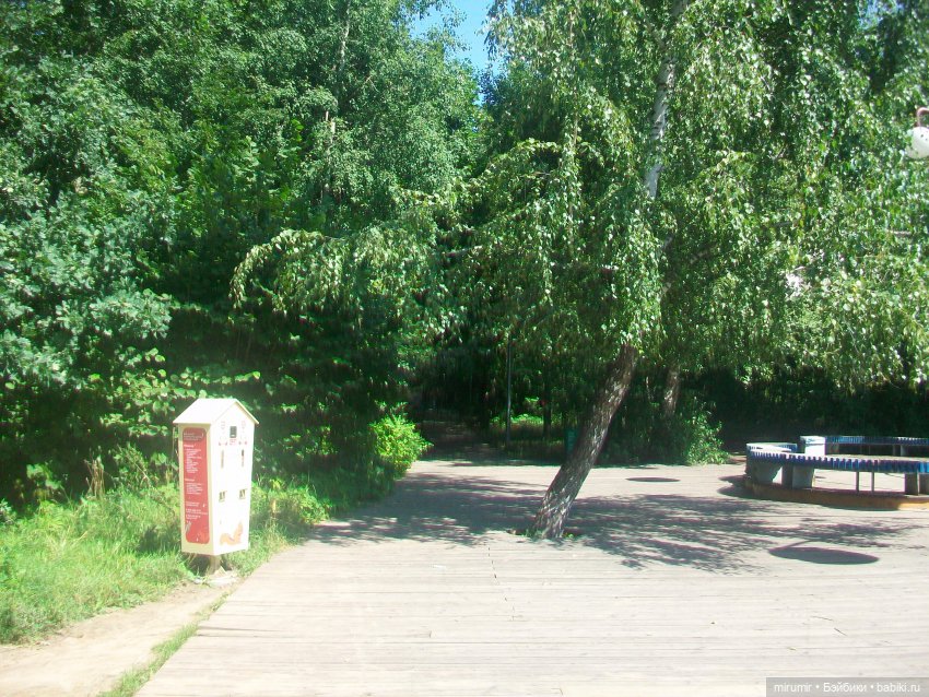 Наш парк в августе — Прочие игровые куклы для девочек