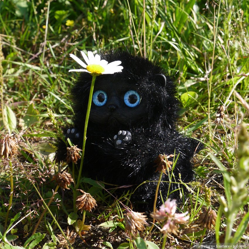 Куклохобби. Топик восхищения, благодарности и возмущения (фото 4)