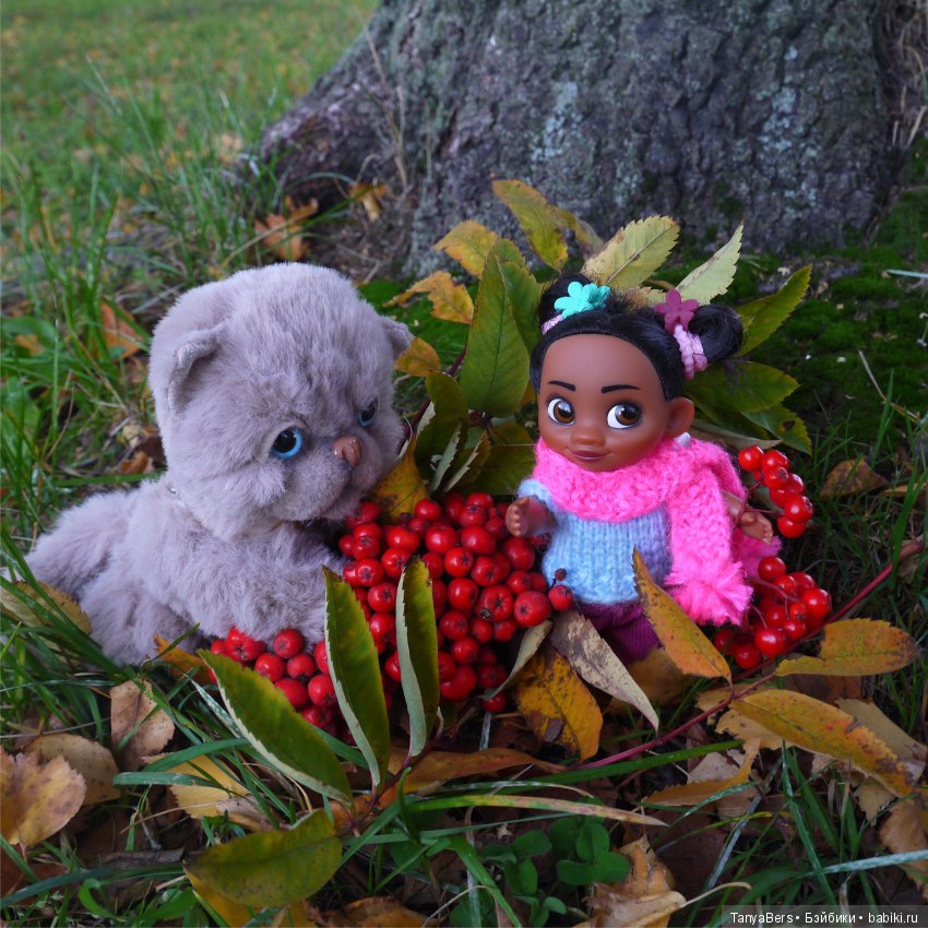 А из моего окна осень яркая видна