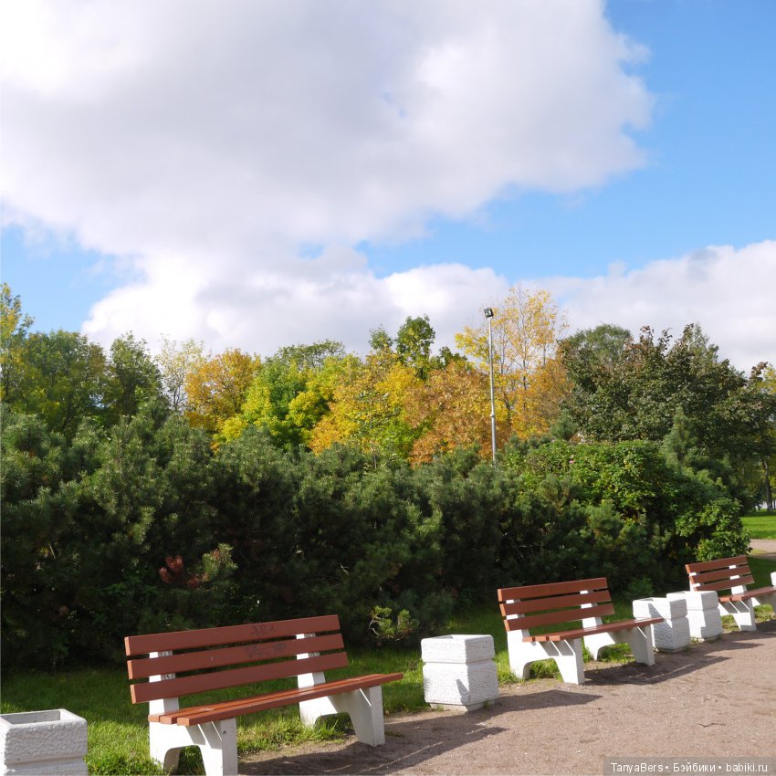 А из моего окна осень яркая видна (фото 7)