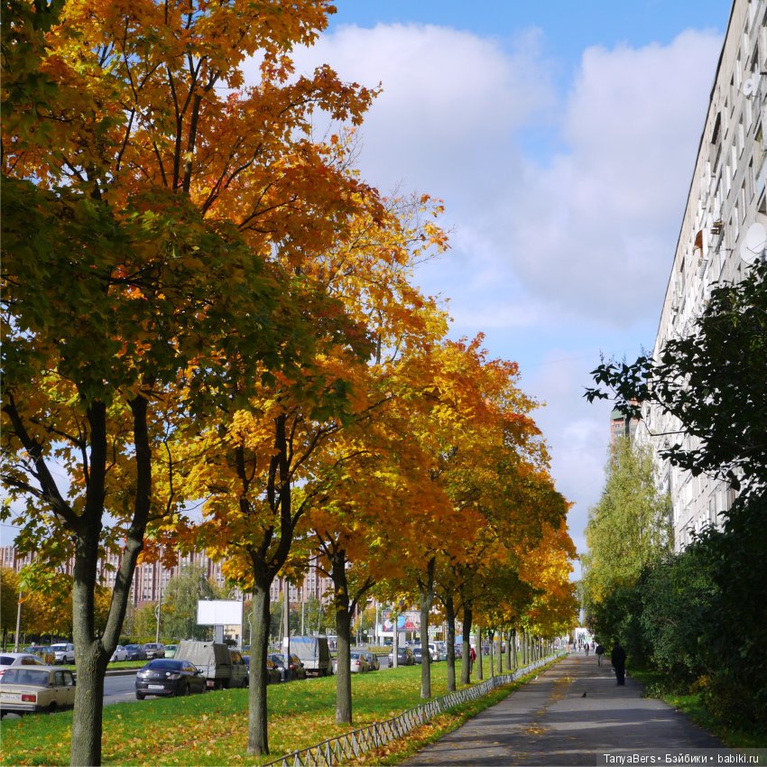 А из моего окна осень яркая видна