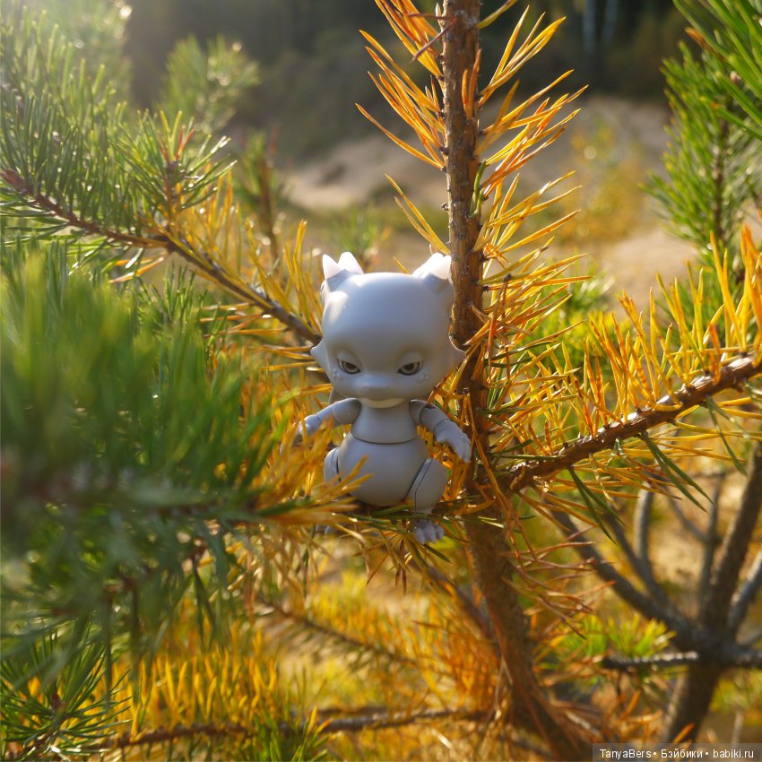 А из моего окна осень яркая видна